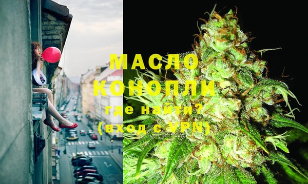 МДПВ Михайлов